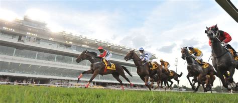 Even a miniscule of them do not spend the. Horse Betting Malaysia | Horse racing bet, Horse racing ...