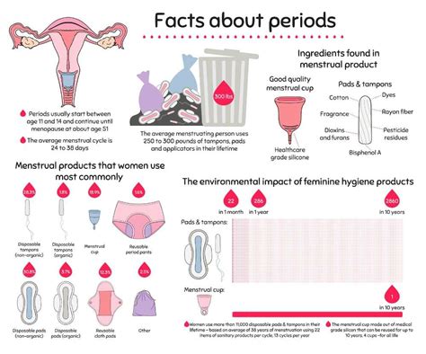 Normal Or Irregular Menstrual Cycle Philadelphia Holistic Clinic