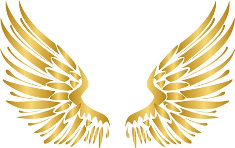 fairy wing png - Free Png Wings - Transparent Gold Angel Wings | #5259495 - Vippng
