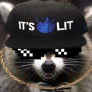 Steam Community :: Group :: RaccoonEggs