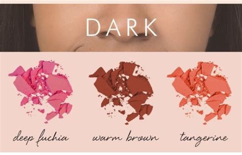 Find The Right Blush For Your Skin Tone Musely