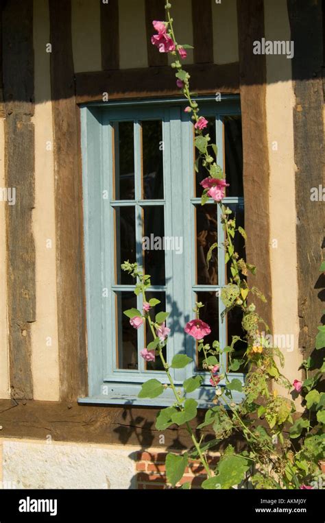 Norman Cottage With Flowers Normandy France Stock Photo Alamy