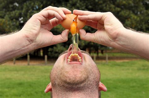 Looks like the media fear. Boost Your Protein Intake With Eggs | Healthy Eating | SF Gate