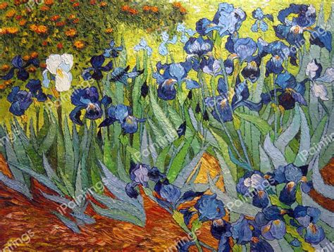 Irises Painting By Vincent Van Gogh Ipaintings Com