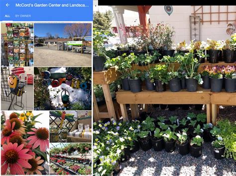 Mccords Garden Center And Landscaping