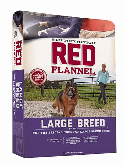 Flannel Breed Dog