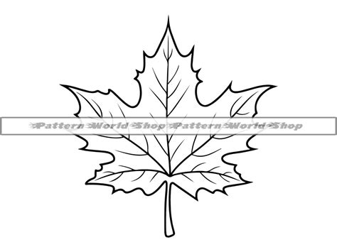 Maple Leaf Outline Svg Maple Leaf Svg Fall Leaf Svg Maple Leaf