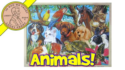 We did not find results for: Pets Wood Frame Tray Jigsaw Puzzle Lights Camera ...