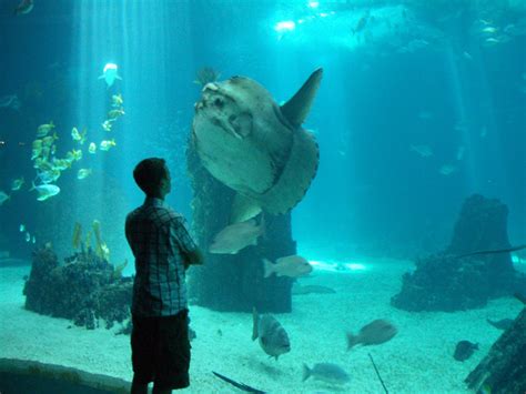 Worlds Best Aquariums