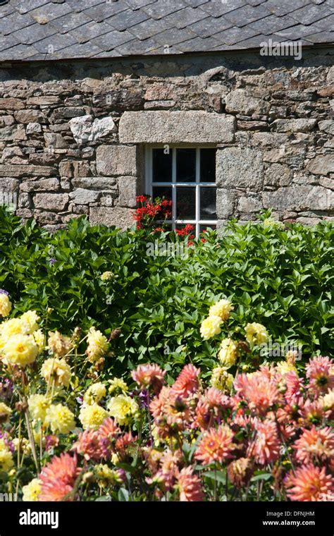 Old Stone Wall Window And Flower Garden Brittany France Stock Photo