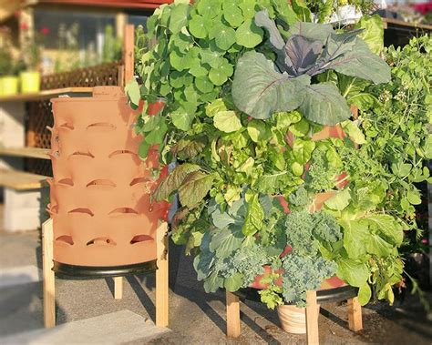 Diy Barrel Planter 4 Easy Steps The Owner Builder Network