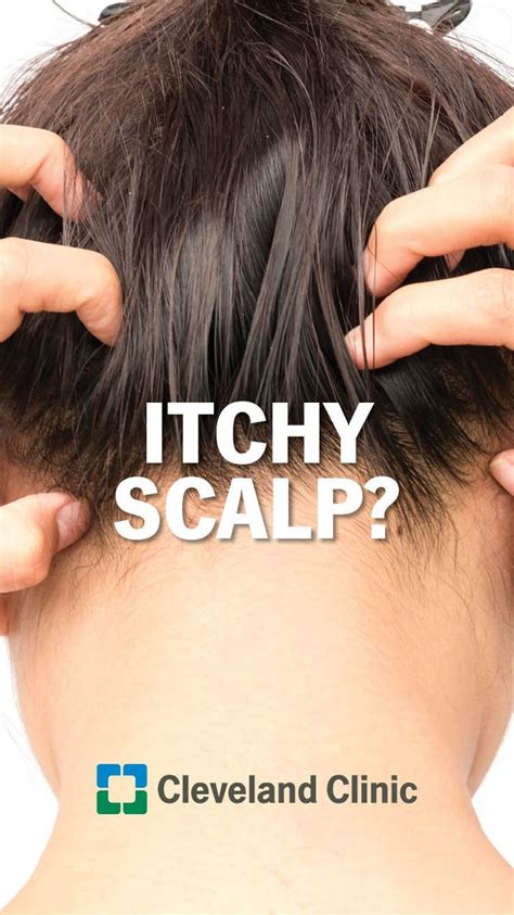 Do You Have An Itchy Scalp 5 Common Problems And Fixes Itchy Scalp