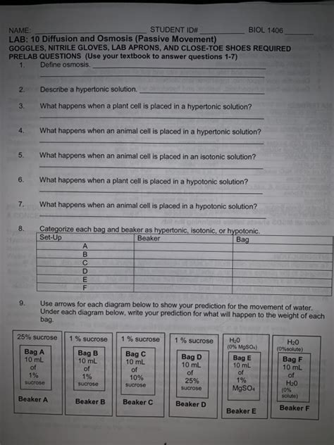 The term for an animal cell placed in a hypertonic solution is known as. Solved: BIOL 1406 NAME: LAB: 10 Diffusion And Osmosis (Pas ...