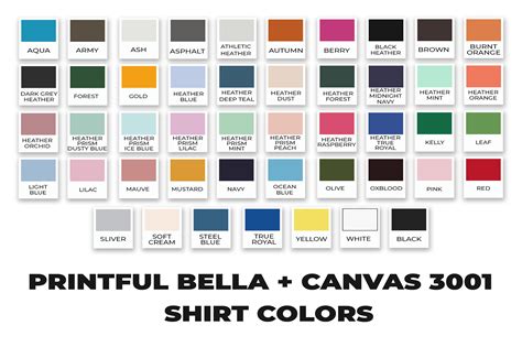 Bella Canvas 3001 Color Chart Graphic By Evarpatrickhg65 · Creative Fabrica