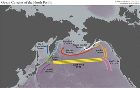 North Pacific Current Alchetron The Free Social Encyclopedia