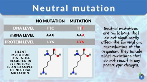Neutral Mutation Definition And Examples Biology Online Dictionary