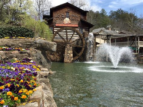 La guía completa de Dollywood [2024] - ExoViajes
