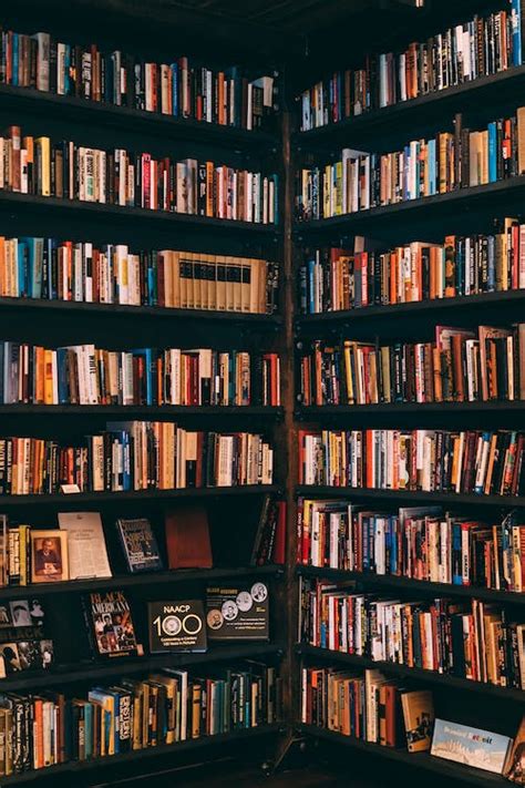 4000 Best Library Photos · 100 Free Download · Pexels Stock Photos