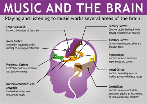 Neural Music Affects Different Regions Of Brain Happeningslpu