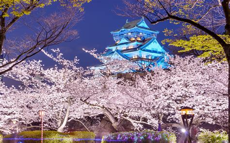 Osaka Castle Full Hd Wallpaper And Background Image 2560x1600 Id596229