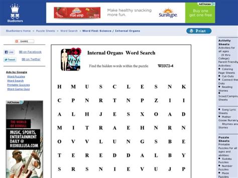 Internal Organs Word Search Worksheet For 3rd 5th Grade Lesson Planet