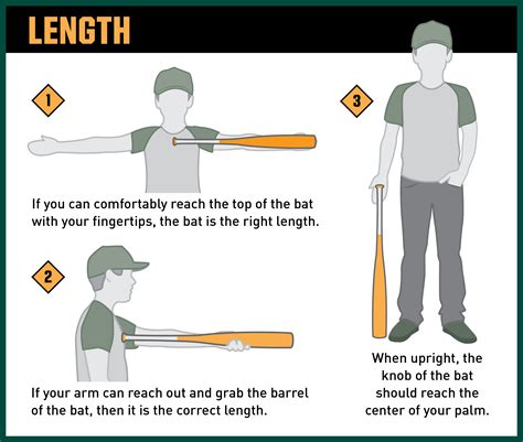 Big 5 Sporting Goods Baseball Bats