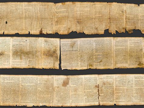 The Dead Sea Scrolls Neh Essentials