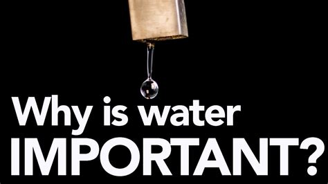 Why Is Water Important For Us The Importance Of Water In Our Life