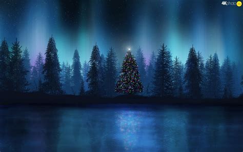 Рождественская елка Ночь освещенная лес Winter Scenes Christmas