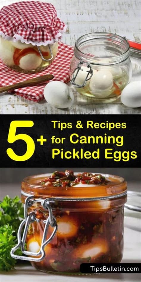 5 Amazing Tips And Recipes For Canning Pickled Eggs Sweet Pickled Eggs