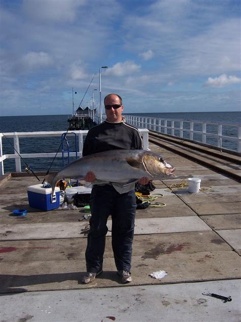 Best Fish Youve Ever Caught At The Busselton Jetty Fishing