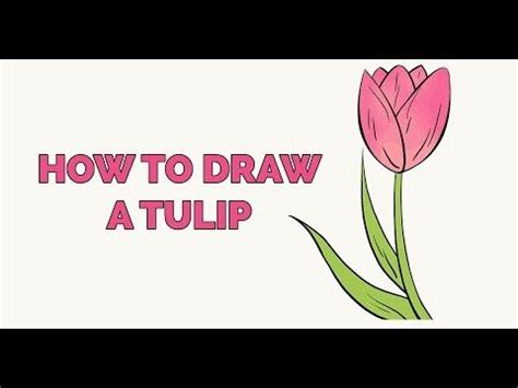 Want to draw tulip flowers? tulip flower ||How to Draw a Tulip for Kids - Easy Step by ...