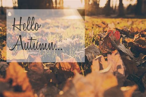 Hello Autumn Wallpapers High Quality Download Free