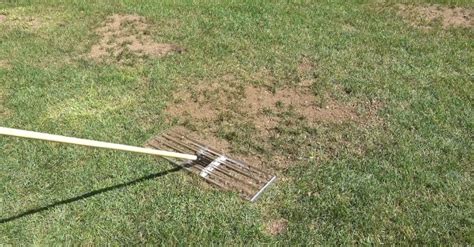 It's useful for top dressing your lawn, moving and leveling gravel, and works better than a landscaping rake when it c… Lawn Leveling Rake - The Best to Choose in 2020