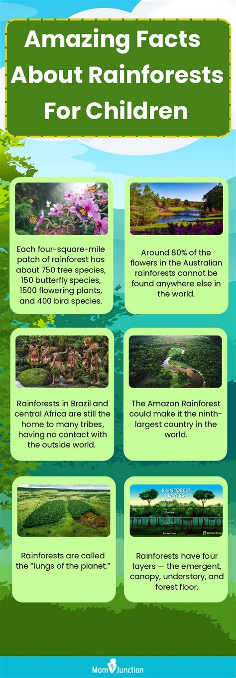10 Facts About The Amazon Rainforest You Probably Didn't, 57% OFF