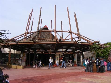 Haifütterung Picture Of Ushaka Marine World Durban Tripadvisor