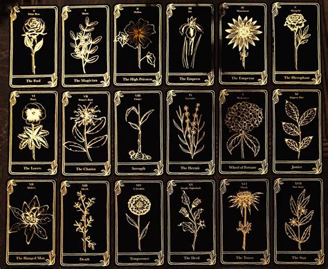 Seedling Tarot Botanical Tarot Cards Limited Edition Etsy