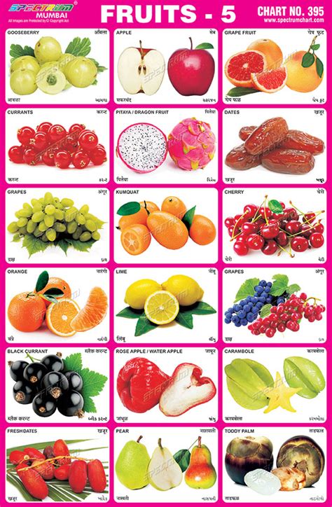 Different Types Of Fruits Chart