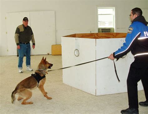 K9 Units Play Valuable Role In The Community
