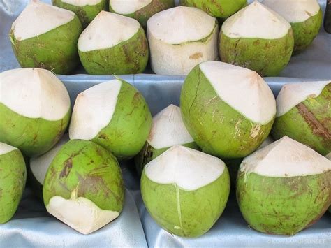Thai Coconuts Crazy Facts And 3 Ways To Enjoy Thai Coconuts Thai