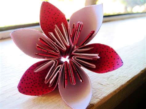 Paper Flower Diy And Crafts Pinterest