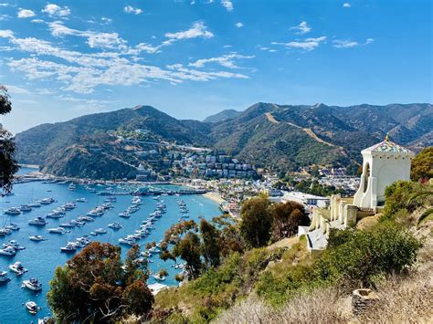 The Perfect Day Trip To Avalon On Catalina Island