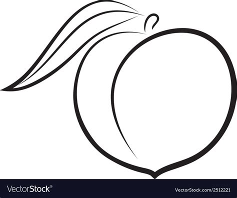 Sketch Peach Royalty Free Vector Image Vectorstock