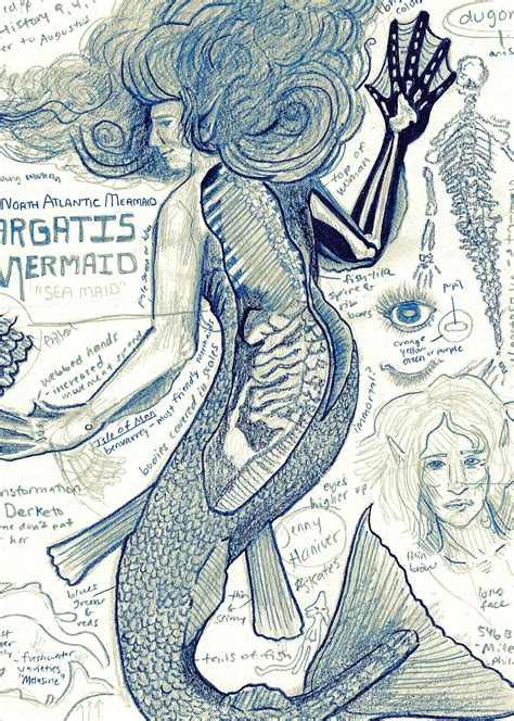 Atargatis Mermaid A Cryptid Bestiary Study Print Etsy