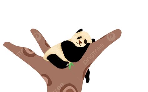 Stump Trees Clipart Hd Png Cartoon Illustration Of Panda Sleeping On A