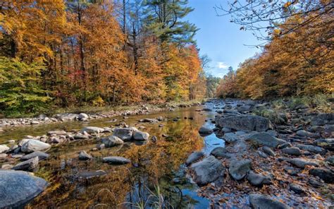 Forest River Rocks Autumn Wallpaper Nature And Landscape