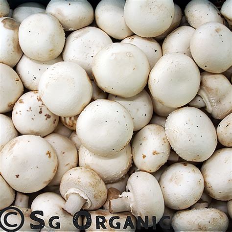 Organic Mushroom White Button 100g Sg Organic