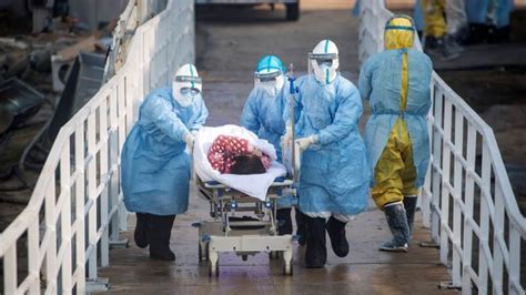 Hantavirus Virus Baru Yang Muncul Di China Mematikan Dalam Hitungan Jam