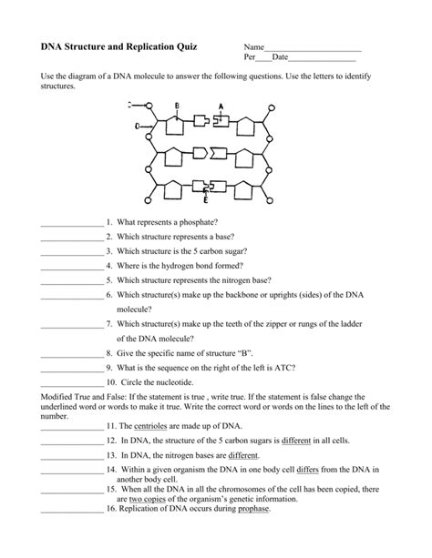Https://tommynaija.com/worksheet/dna Structure And Replication Worksheet Extension Questions