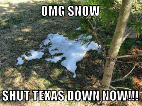 Hilarious 2023 Texas Winter Memes Including Ted Cruz Lola Lambchops